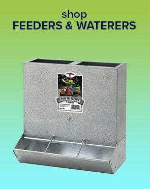 Swine Feeders & Waterers